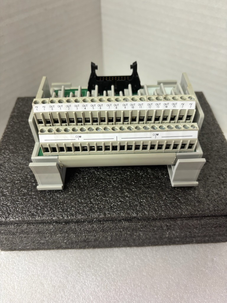 Allen Bradley 1492-IFM20F-F120-2, 16 Channel Fusible Interface Module, Ser. C